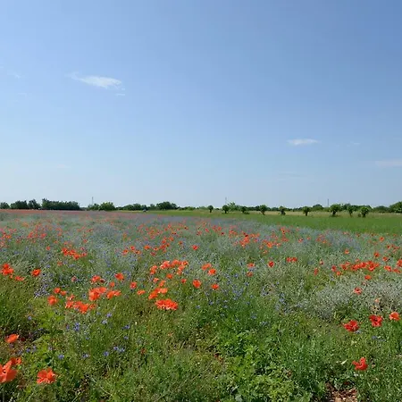 Фермерский дом Caporale *