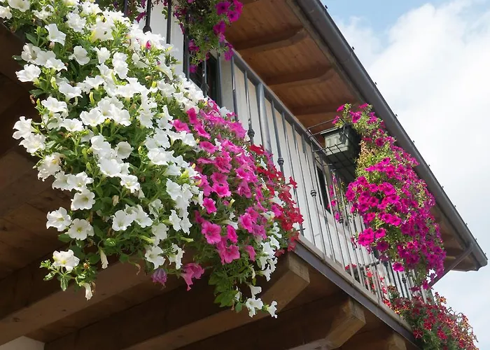 Farmház Caporale Remanzacco